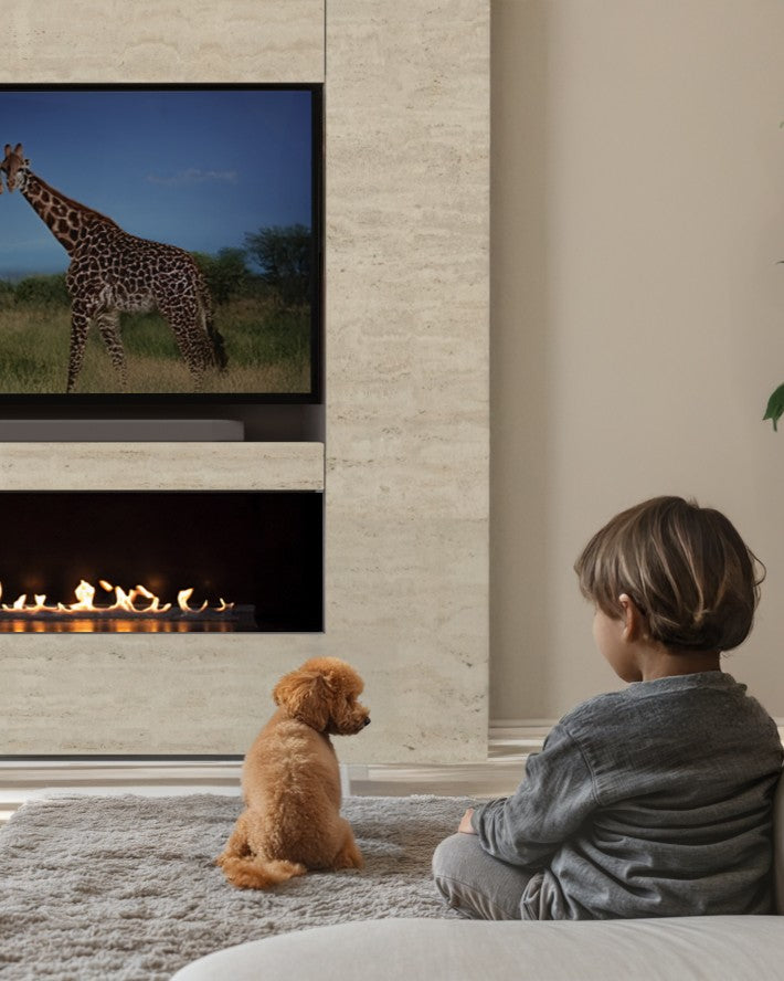 Integrert sikkerhet. Kontinuerlig kontroll.